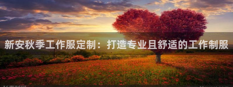 龙8网页版登录官网