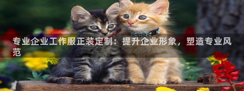 龙8中国官网唯一入口